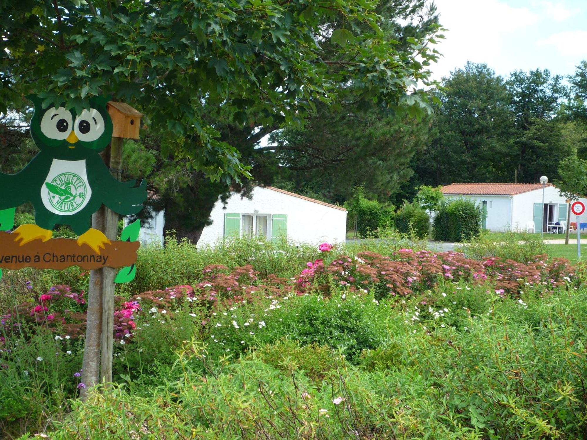 Village Vacances De Chantonnay Esterno foto